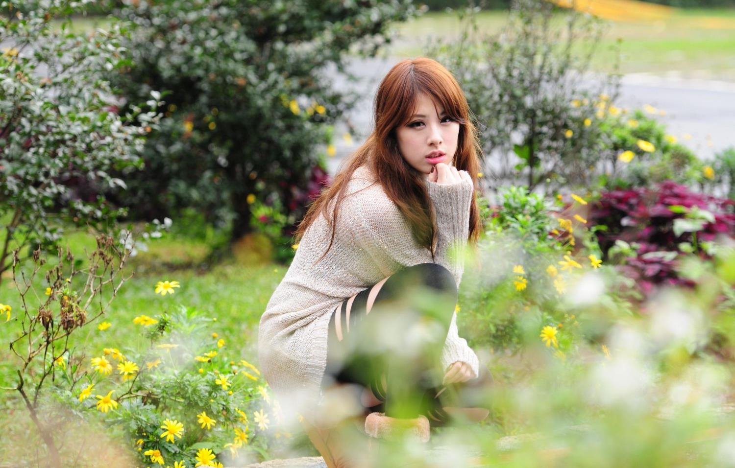 ����ʮ���ֹ