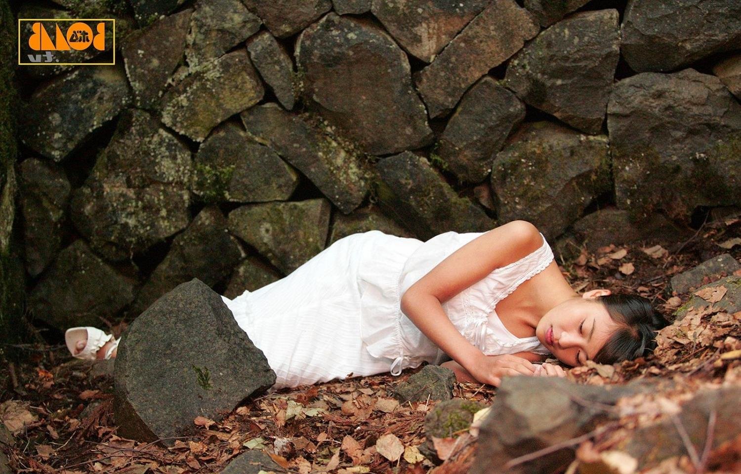 ���������ɹ�5