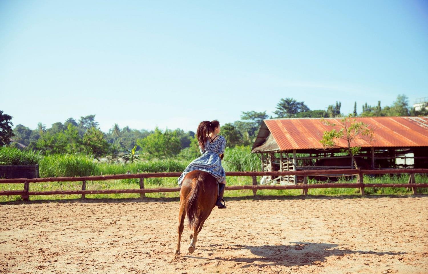 �ҵĶ�ħ����ŷ