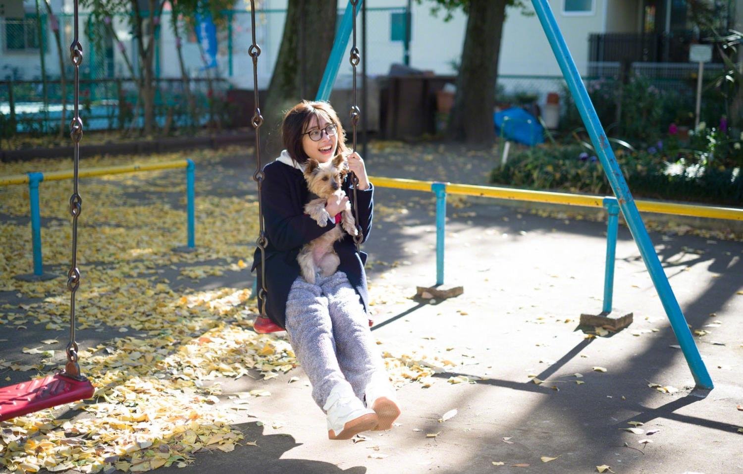 ��ޱ���ڽ�