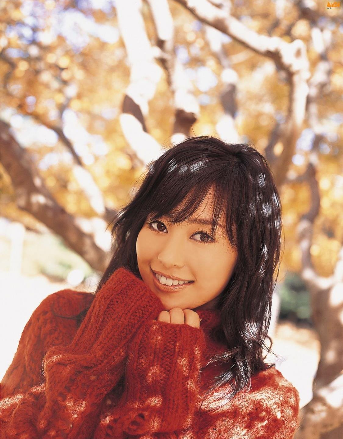 �����ڰ칫���������