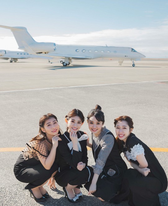 ����������6229���������